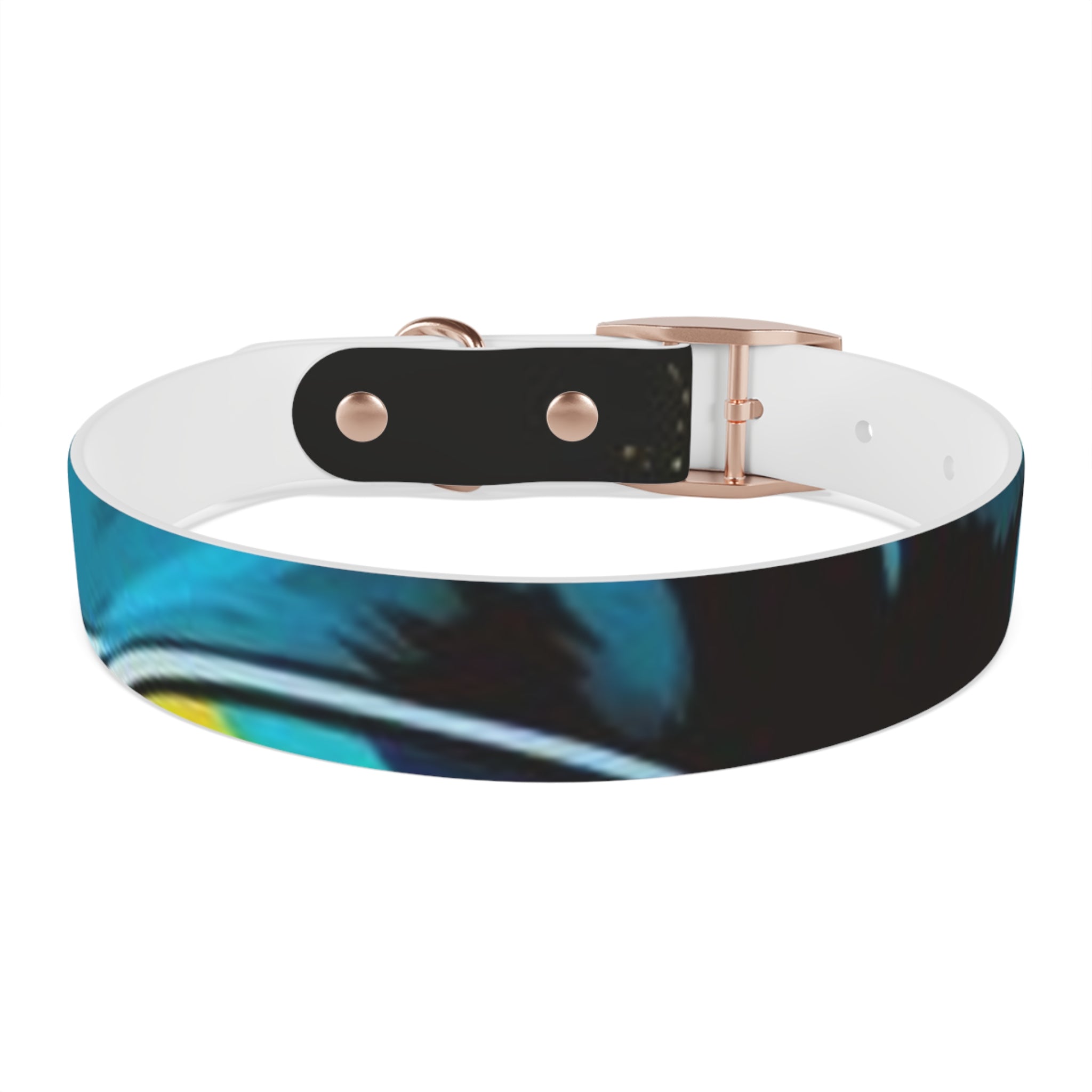 Vibrant Art Dog Collar – Adjustable & Stylish Pet Accessory