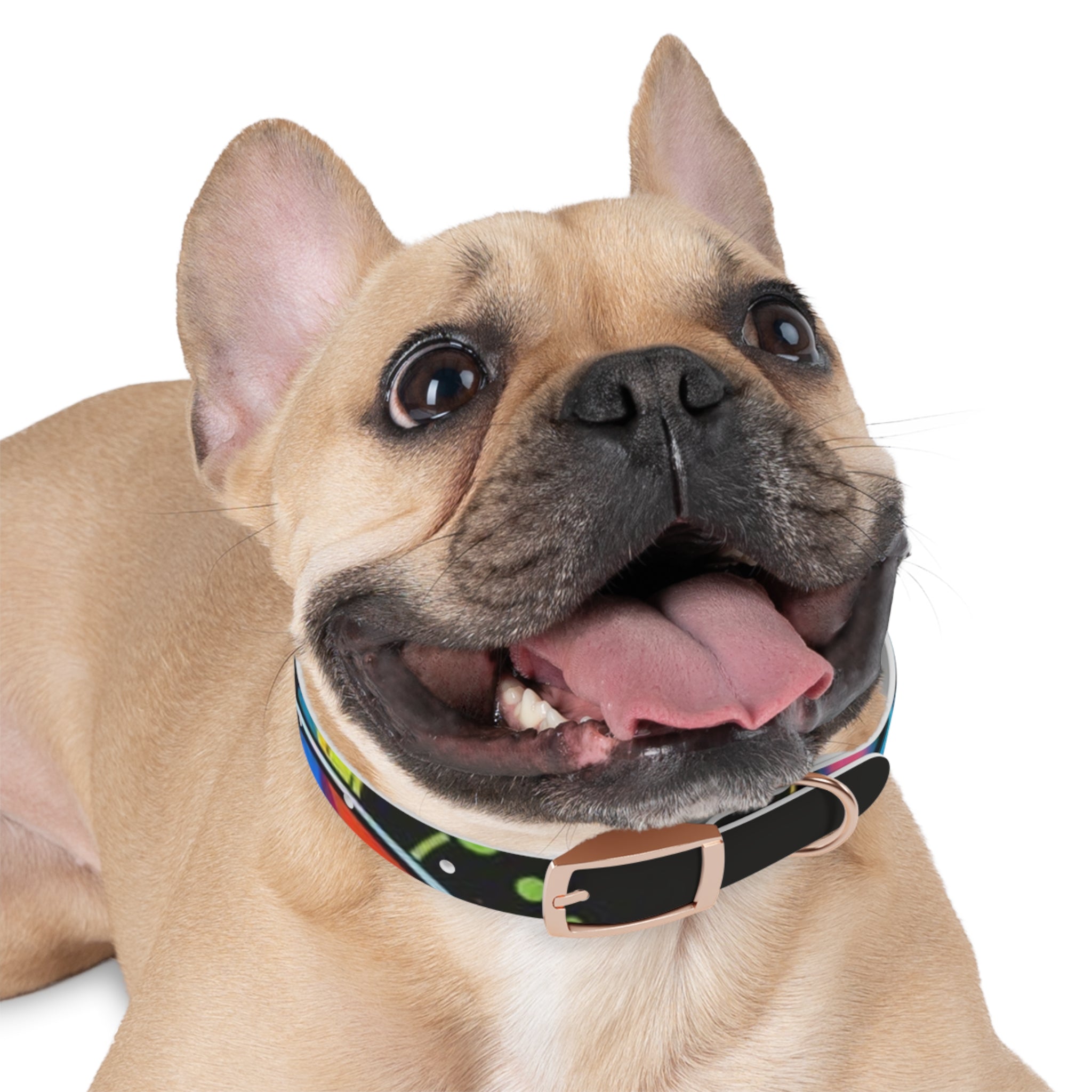 Vibrant Art Dog Collar – Adjustable & Stylish Pet Accessory