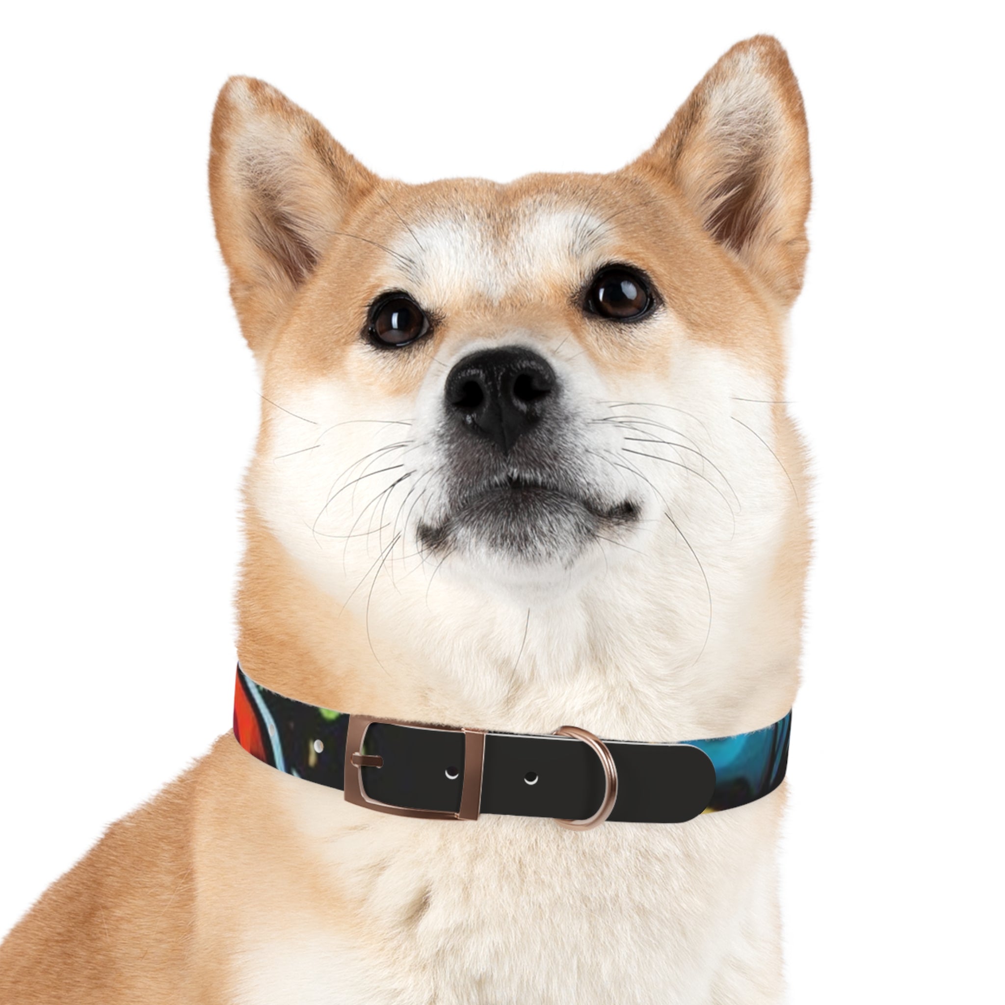 Vibrant Art Dog Collar – Adjustable & Stylish Pet Accessory