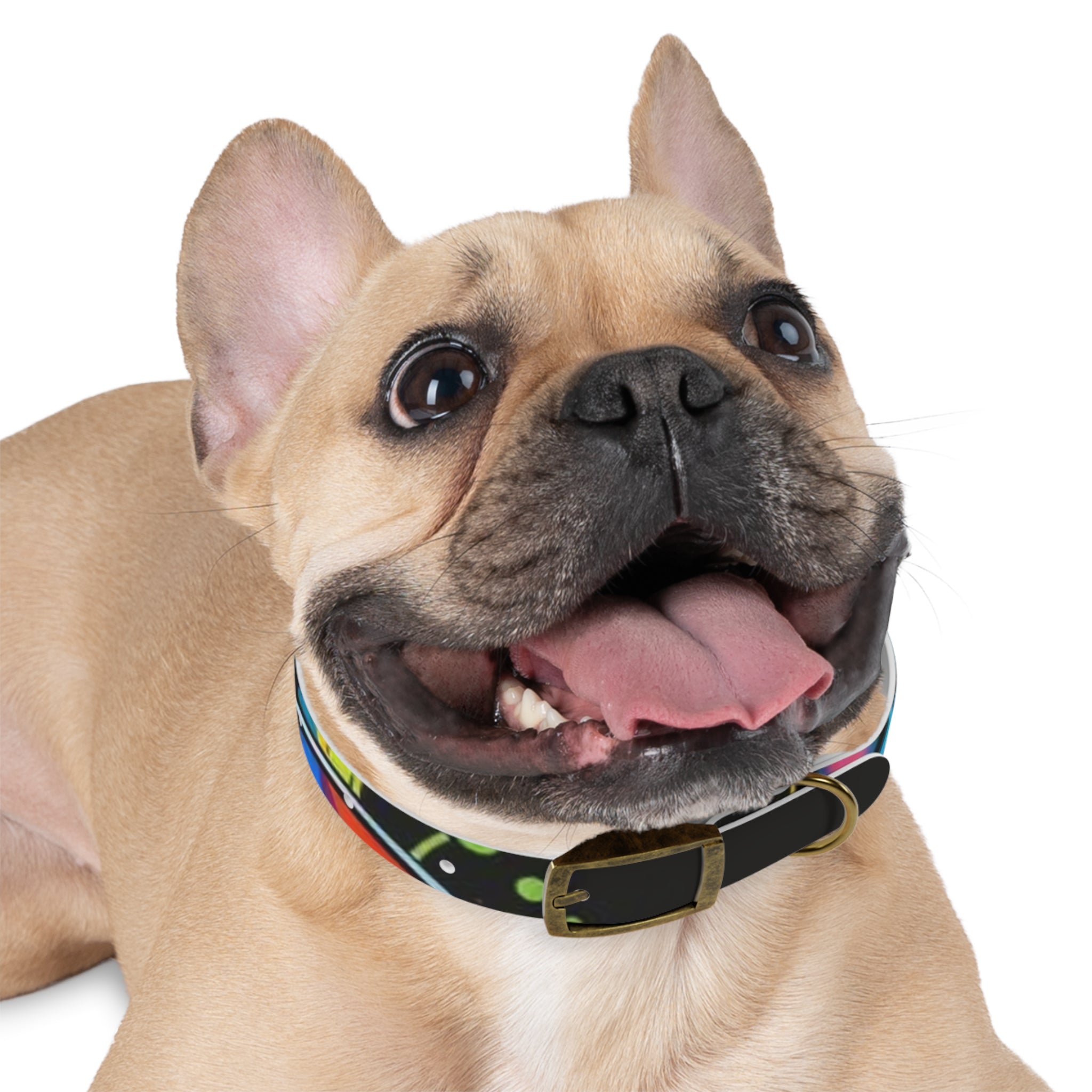 Vibrant Art Dog Collar – Adjustable & Stylish Pet Accessory