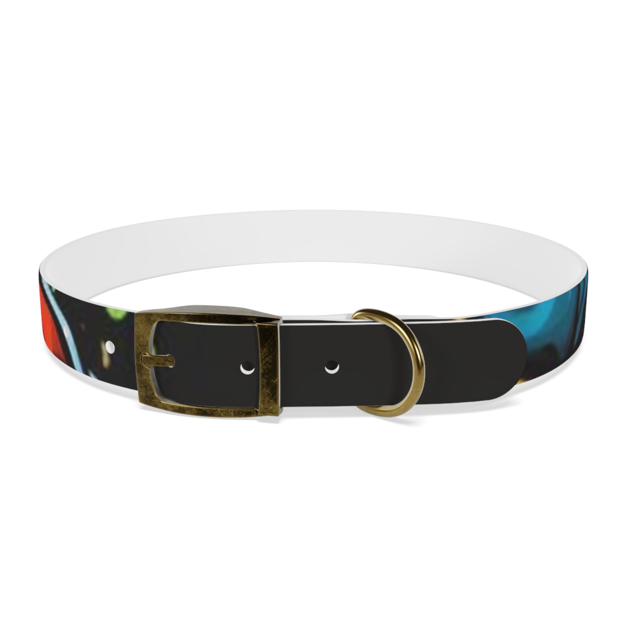 Vibrant Art Dog Collar – Adjustable & Stylish Pet Accessory