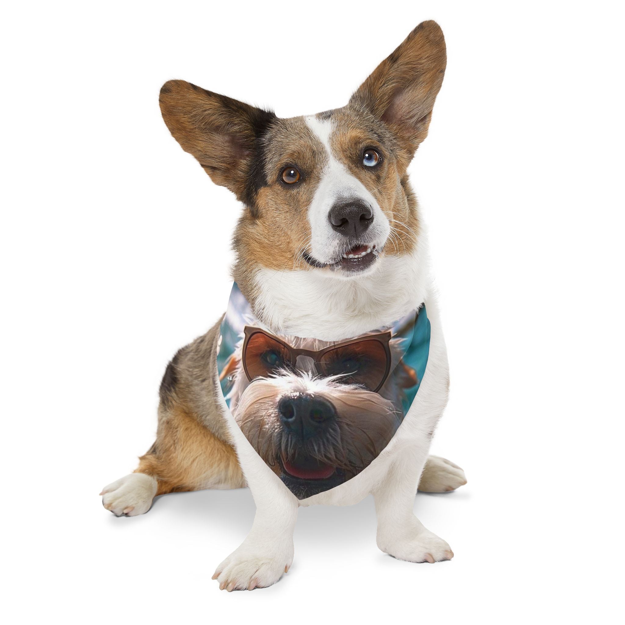 Cool Pet Bandana Collar for Fashionable Dogs - Sunglasses Design