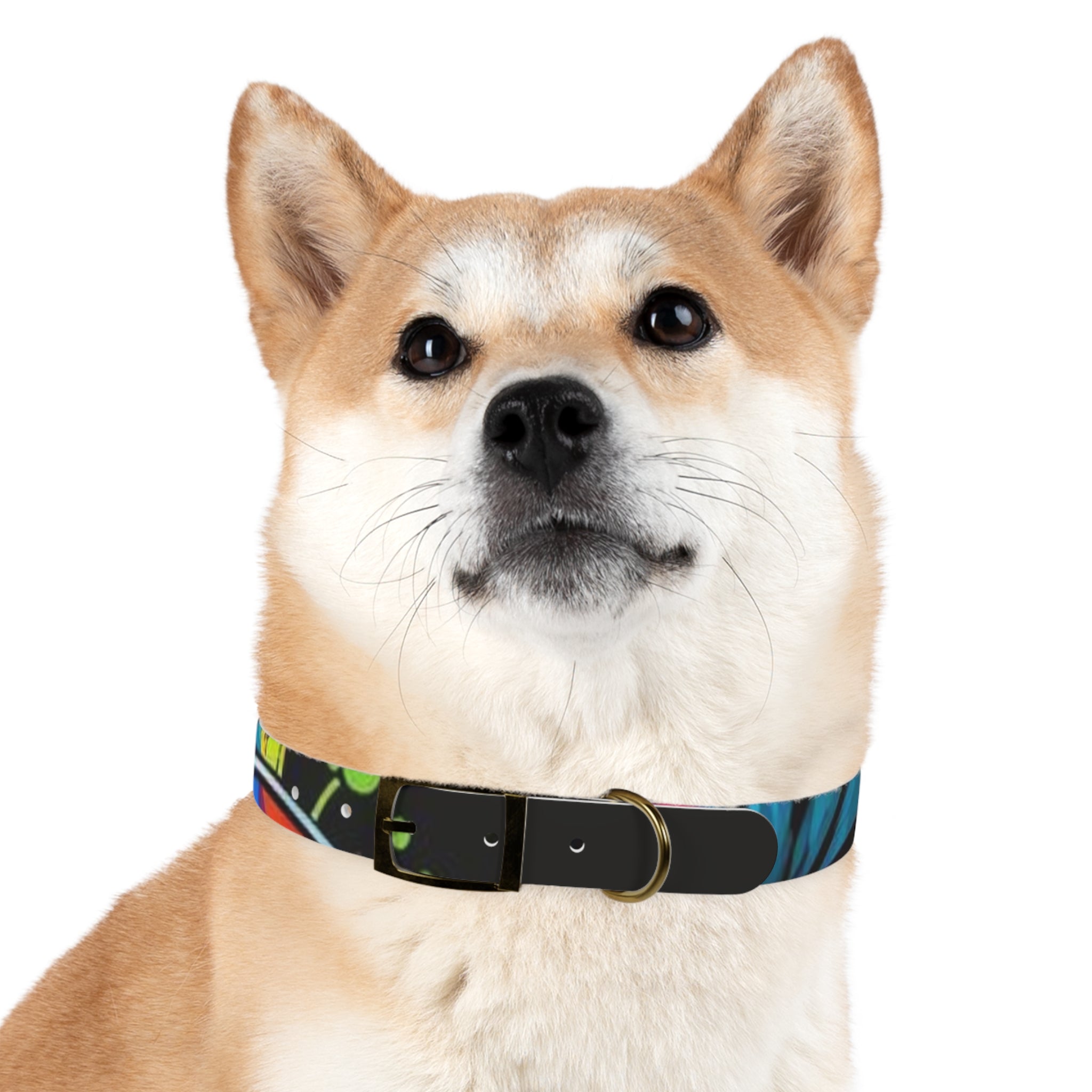 Vibrant Art Dog Collar – Adjustable & Stylish Pet Accessory