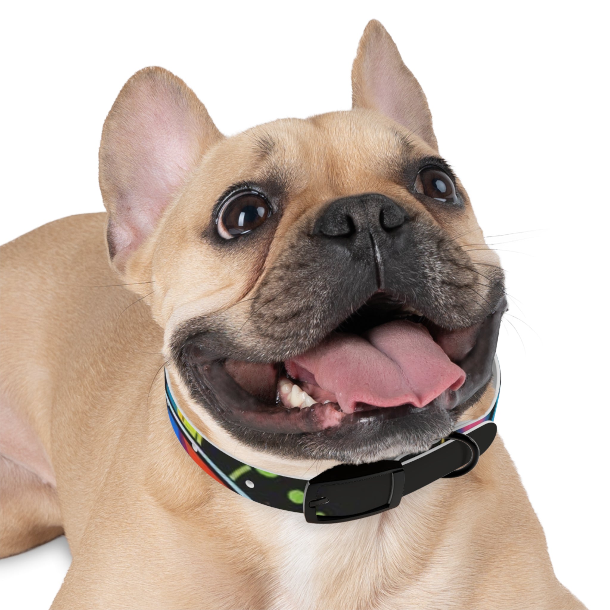 Vibrant Art Dog Collar – Adjustable & Stylish Pet Accessory