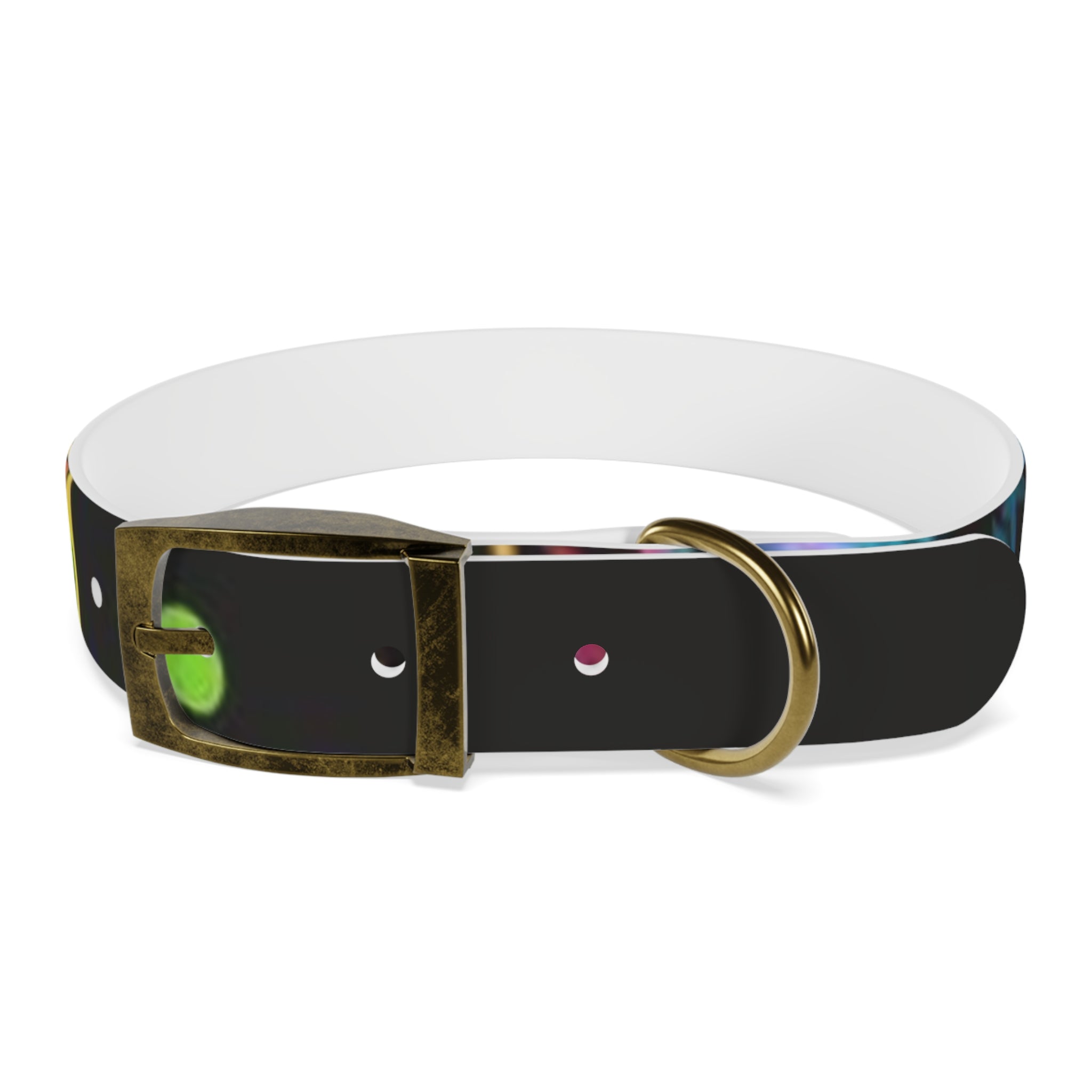 Vibrant Art Dog Collar – Adjustable & Stylish Pet Accessory