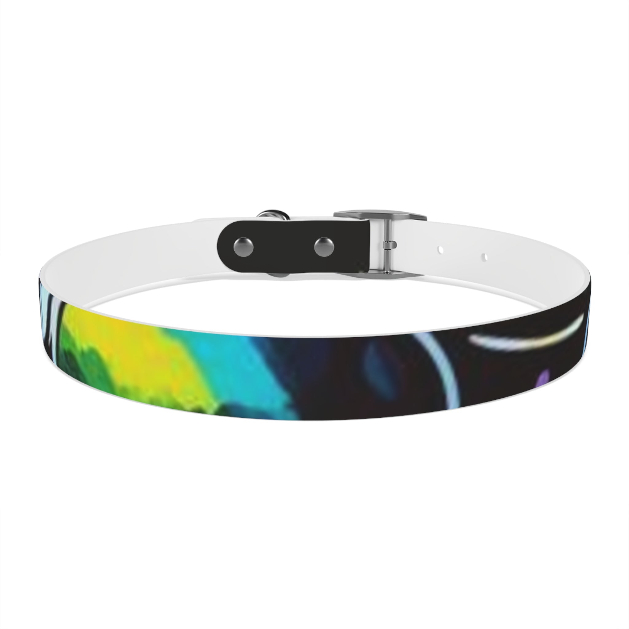 Vibrant Art Dog Collar – Adjustable & Stylish Pet Accessory
