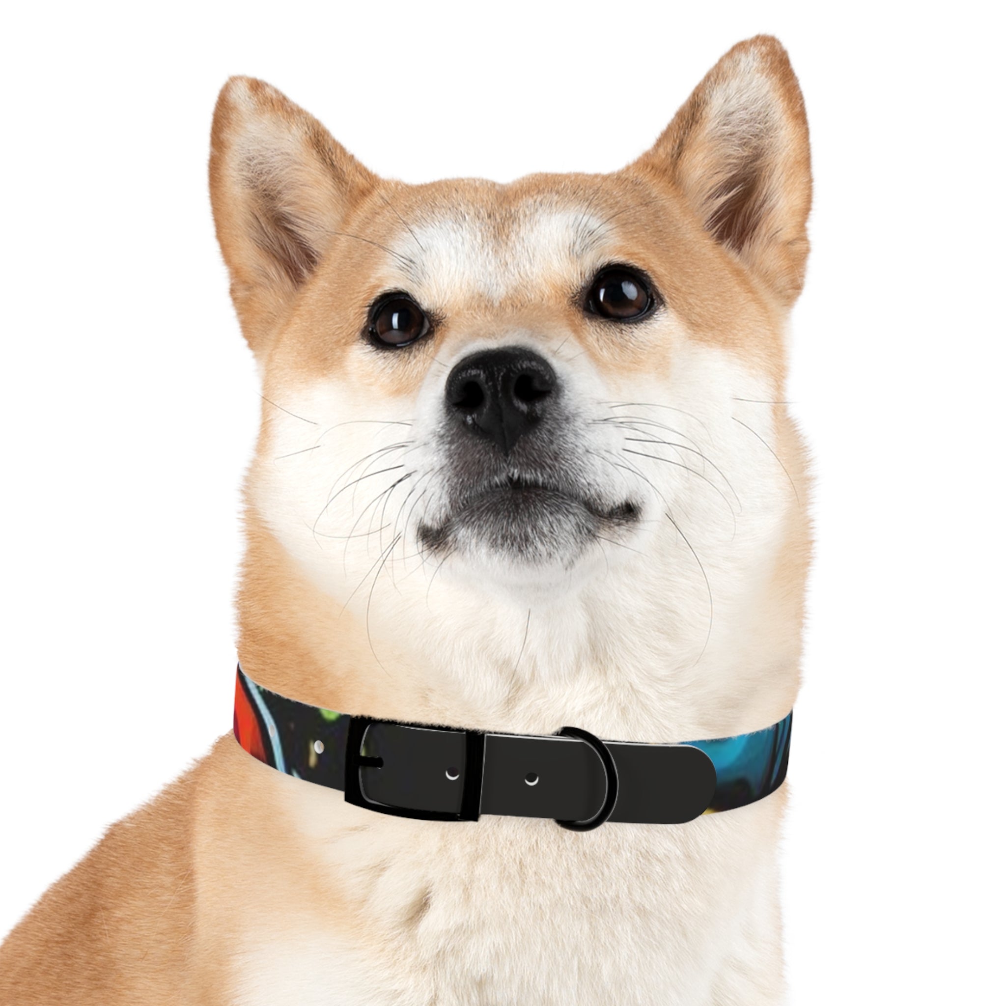 Vibrant Art Dog Collar – Adjustable & Stylish Pet Accessory