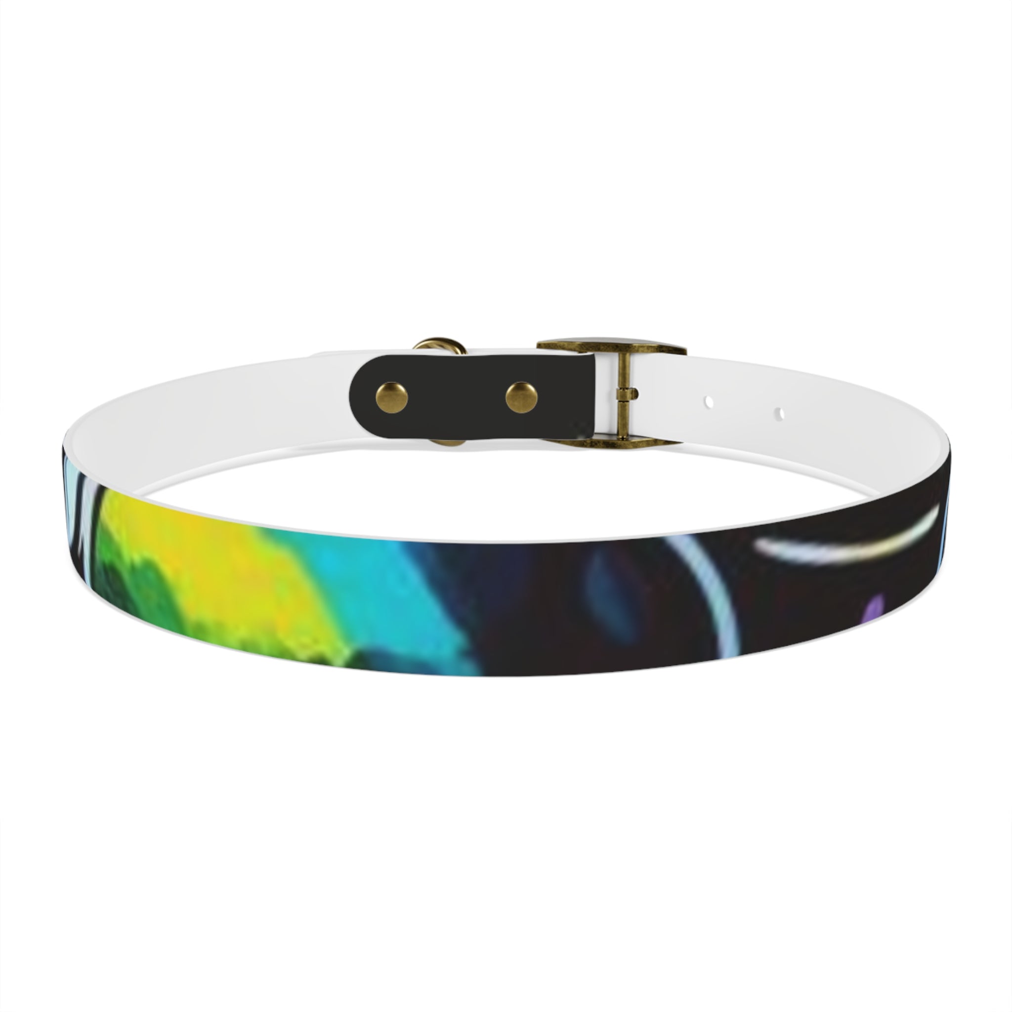 Vibrant Art Dog Collar – Adjustable & Stylish Pet Accessory