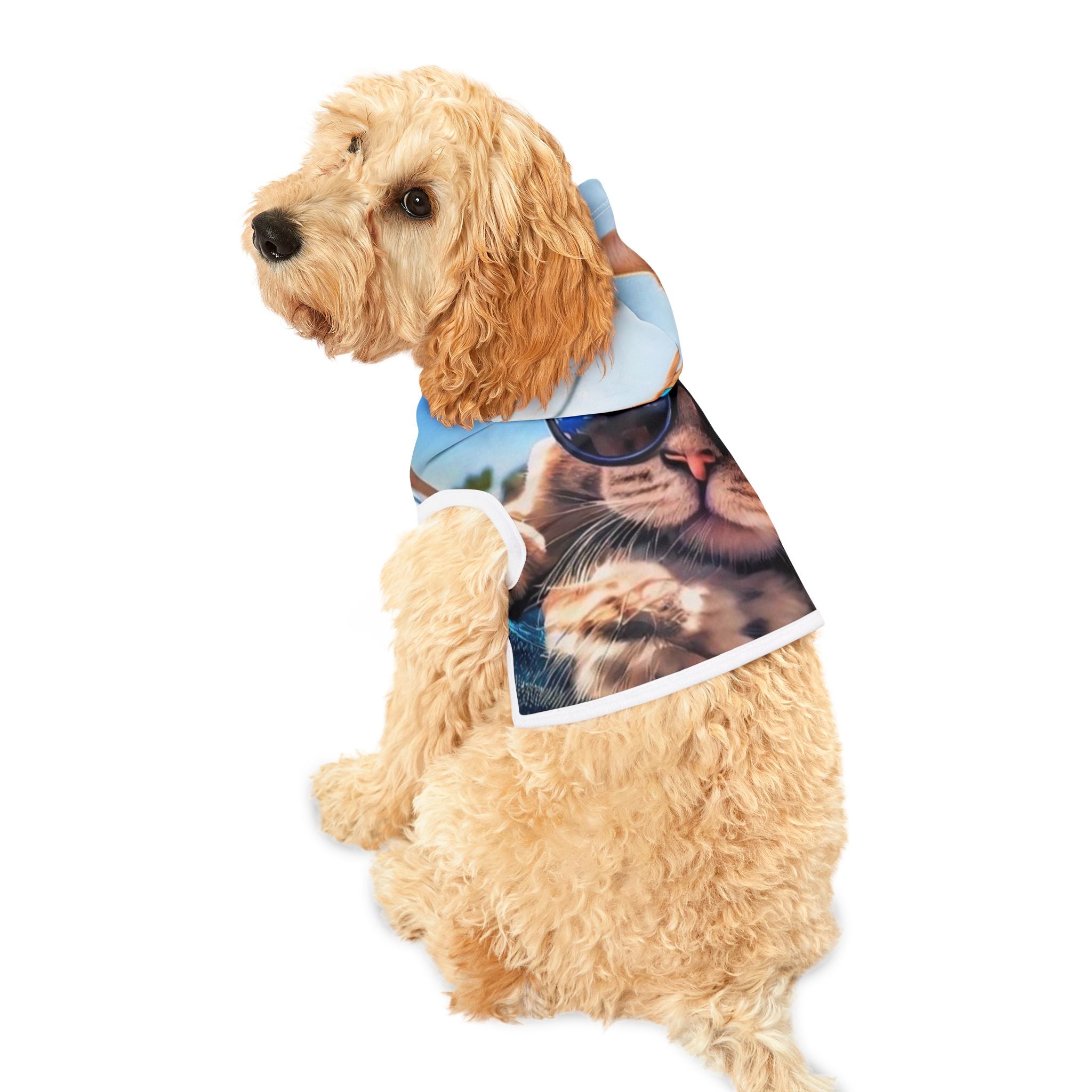 Cool Cat Pet Hoodie - Stylish Hoodie for Fashionable Feline Friends