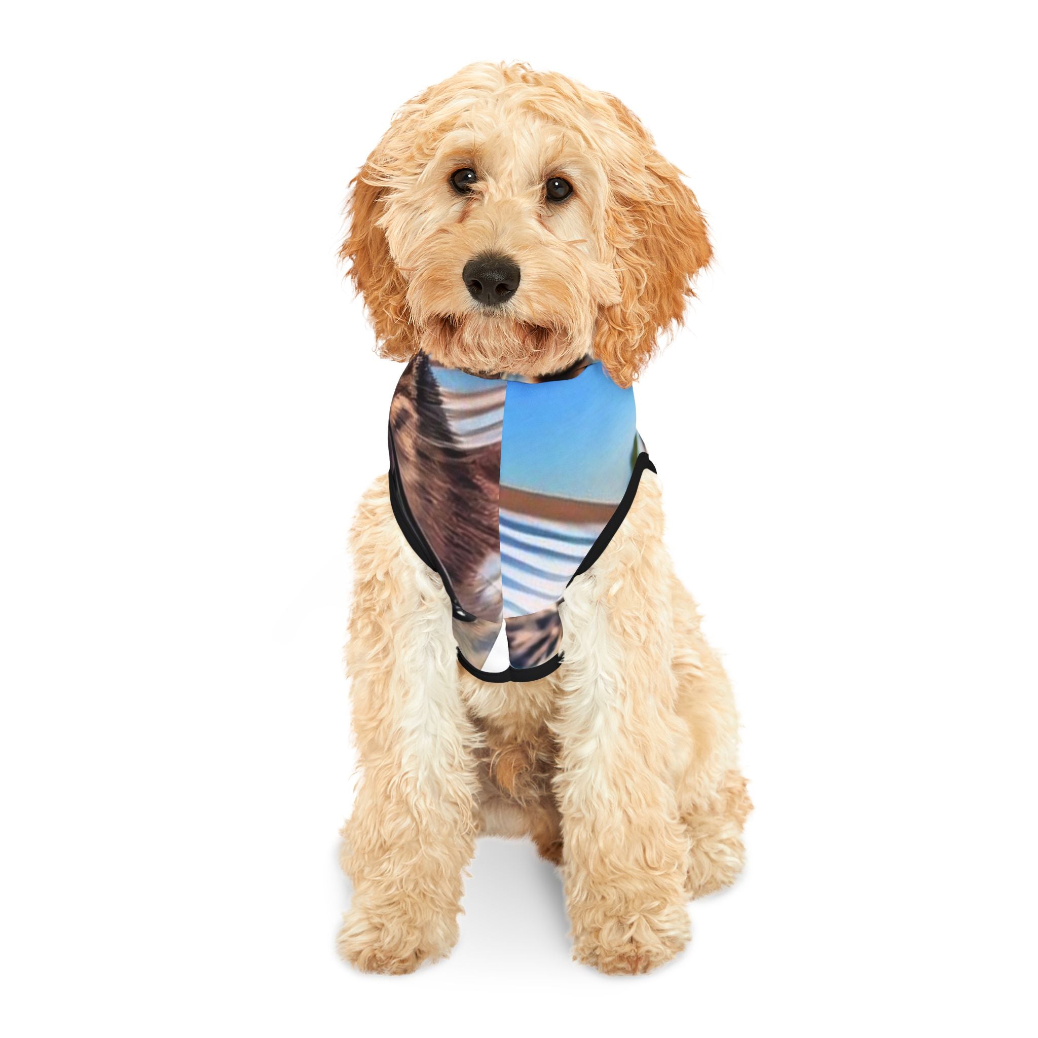 Cool Cat Pet Hoodie - Stylish Hoodie for Fashionable Feline Friends
