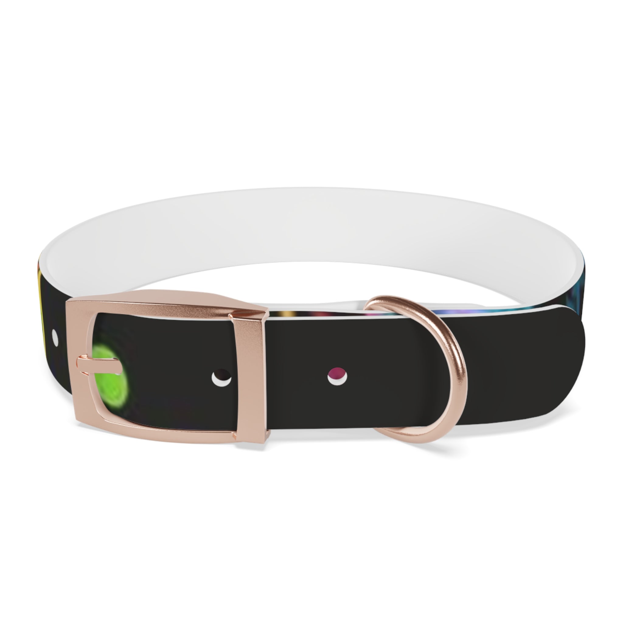 Vibrant Art Dog Collar – Adjustable & Stylish Pet Accessory