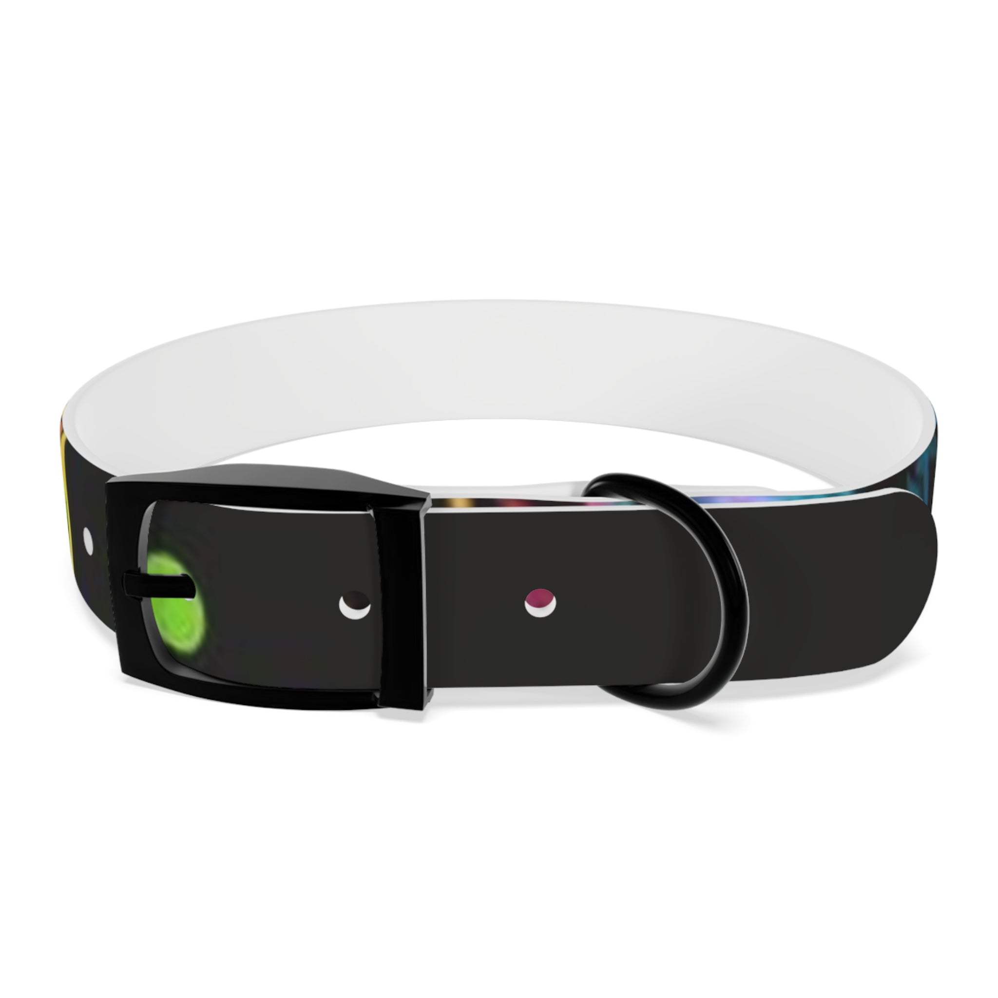 Vibrant Art Dog Collar – Adjustable & Stylish Pet Accessory