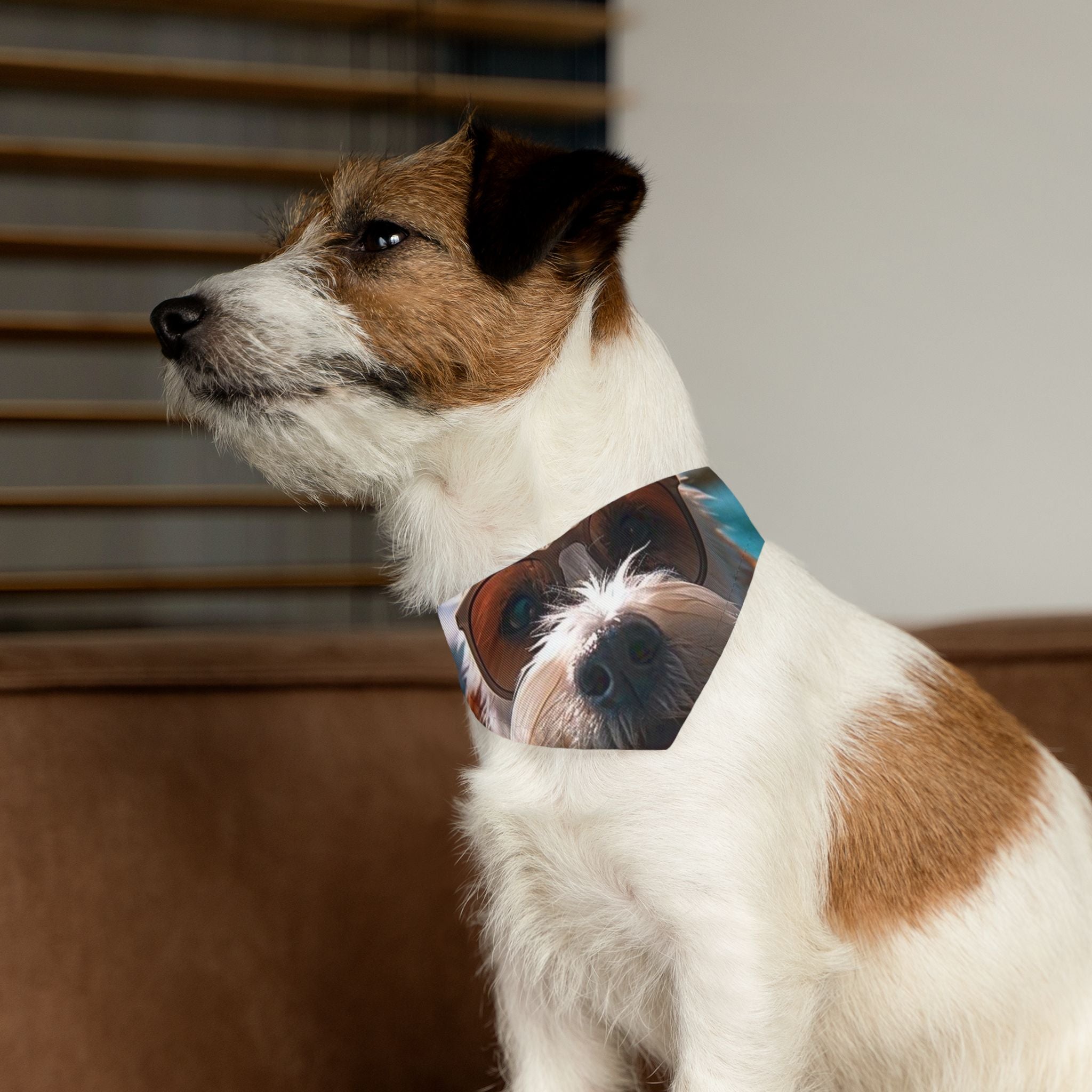 Cool Pet Bandana Collar for Fashionable Dogs - Sunglasses Design