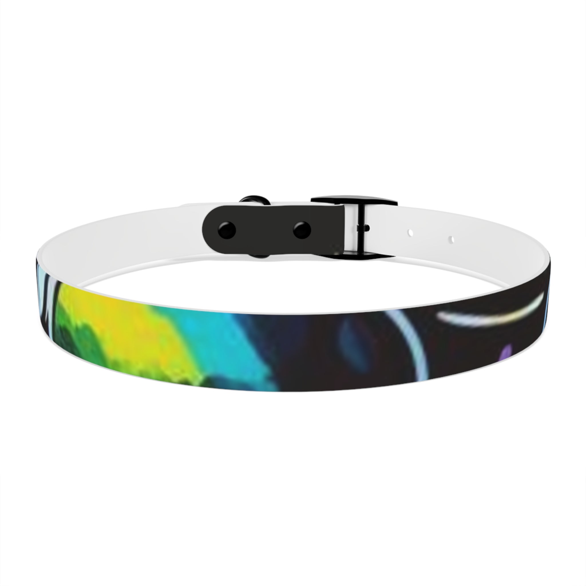Vibrant Art Dog Collar – Adjustable & Stylish Pet Accessory