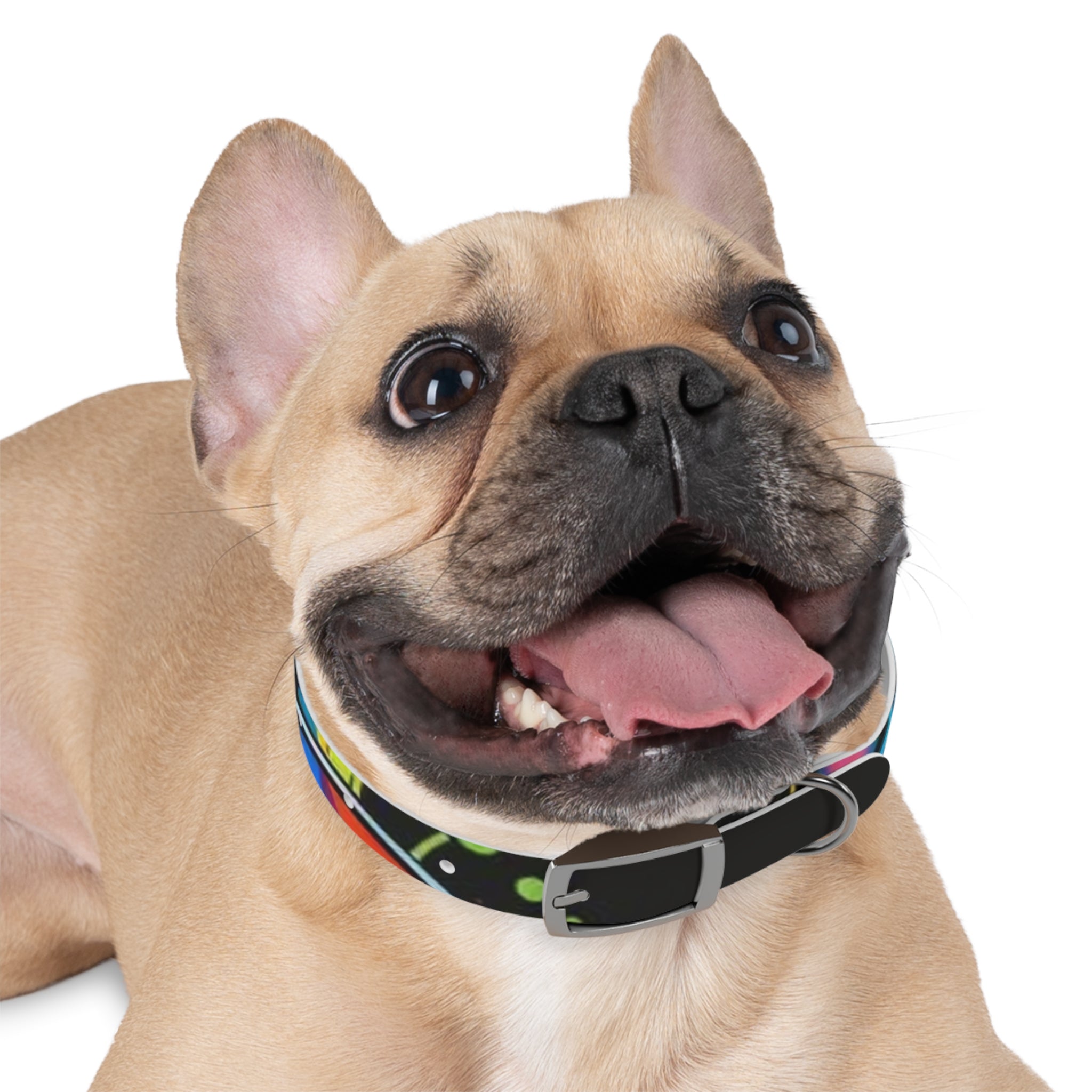 Vibrant Art Dog Collar – Adjustable & Stylish Pet Accessory