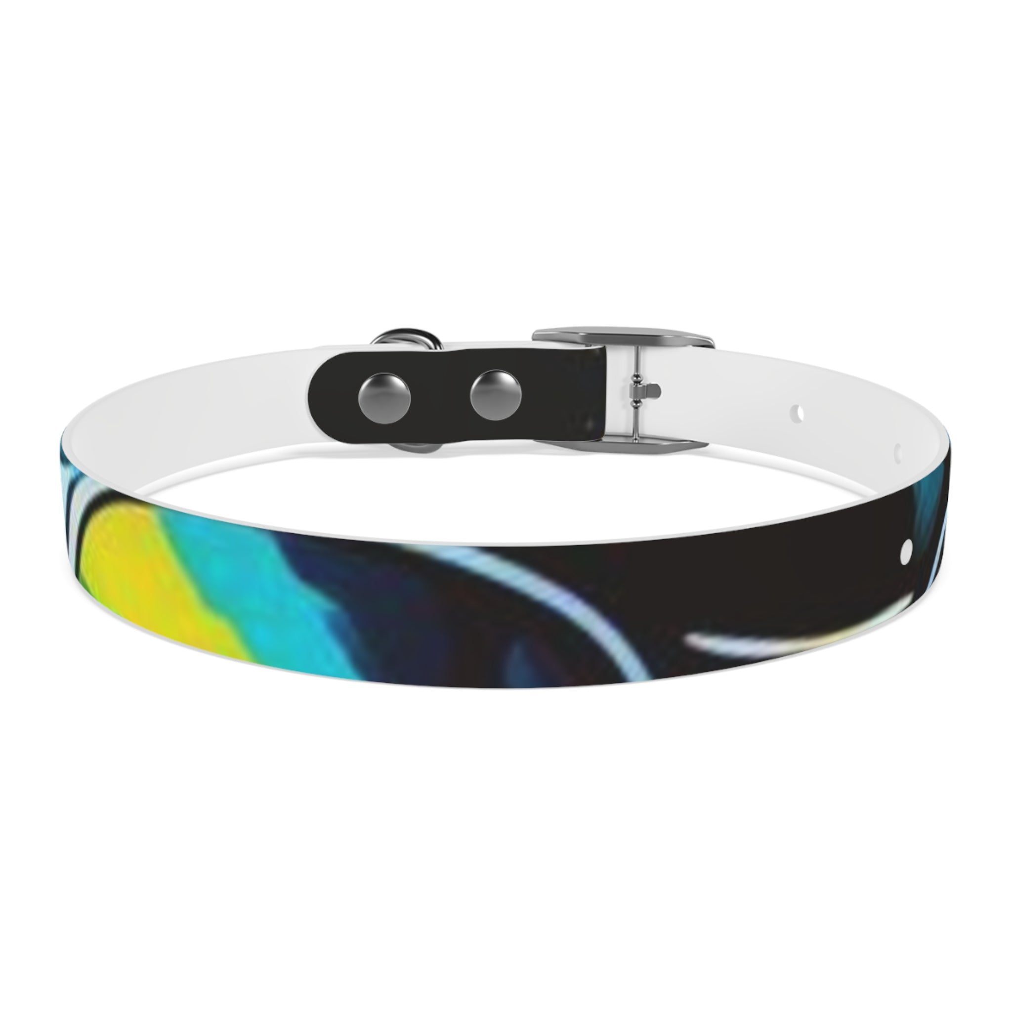 Vibrant Art Dog Collar – Adjustable & Stylish Pet Accessory
