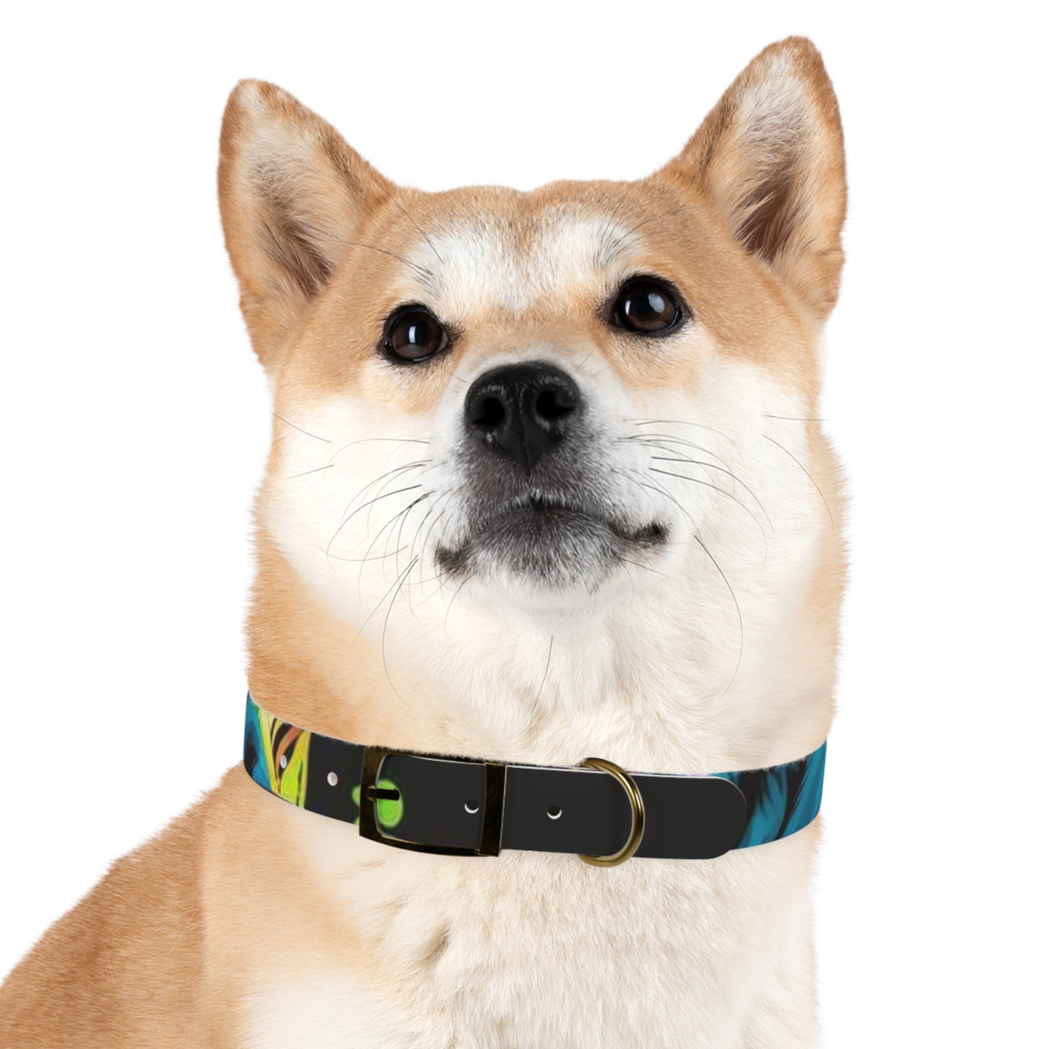 Vibrant Art Dog Collar – Adjustable & Stylish Pet Accessory