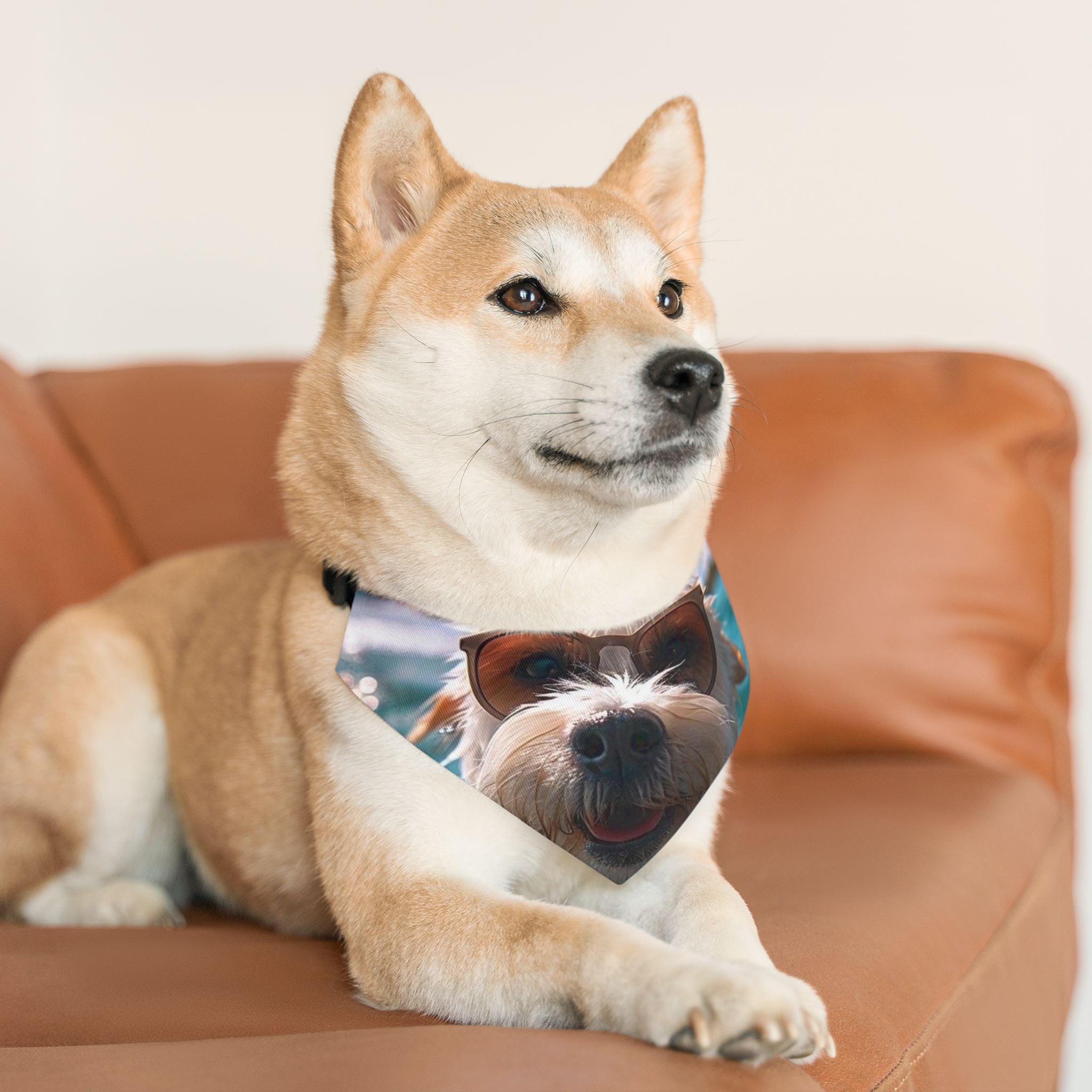 Cool Pet Bandana Collar for Fashionable Dogs - Sunglasses Design