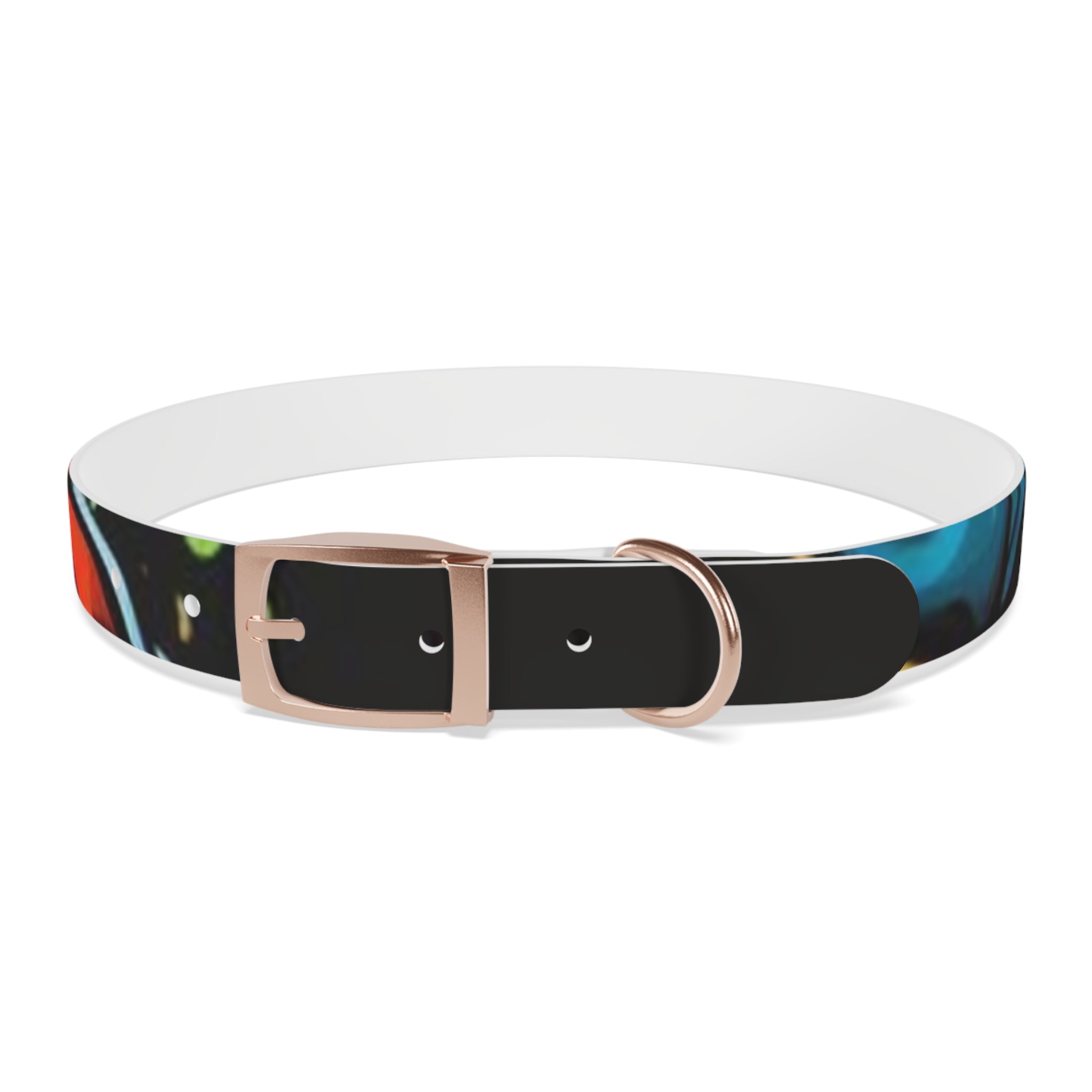 Vibrant Art Dog Collar – Adjustable & Stylish Pet Accessory