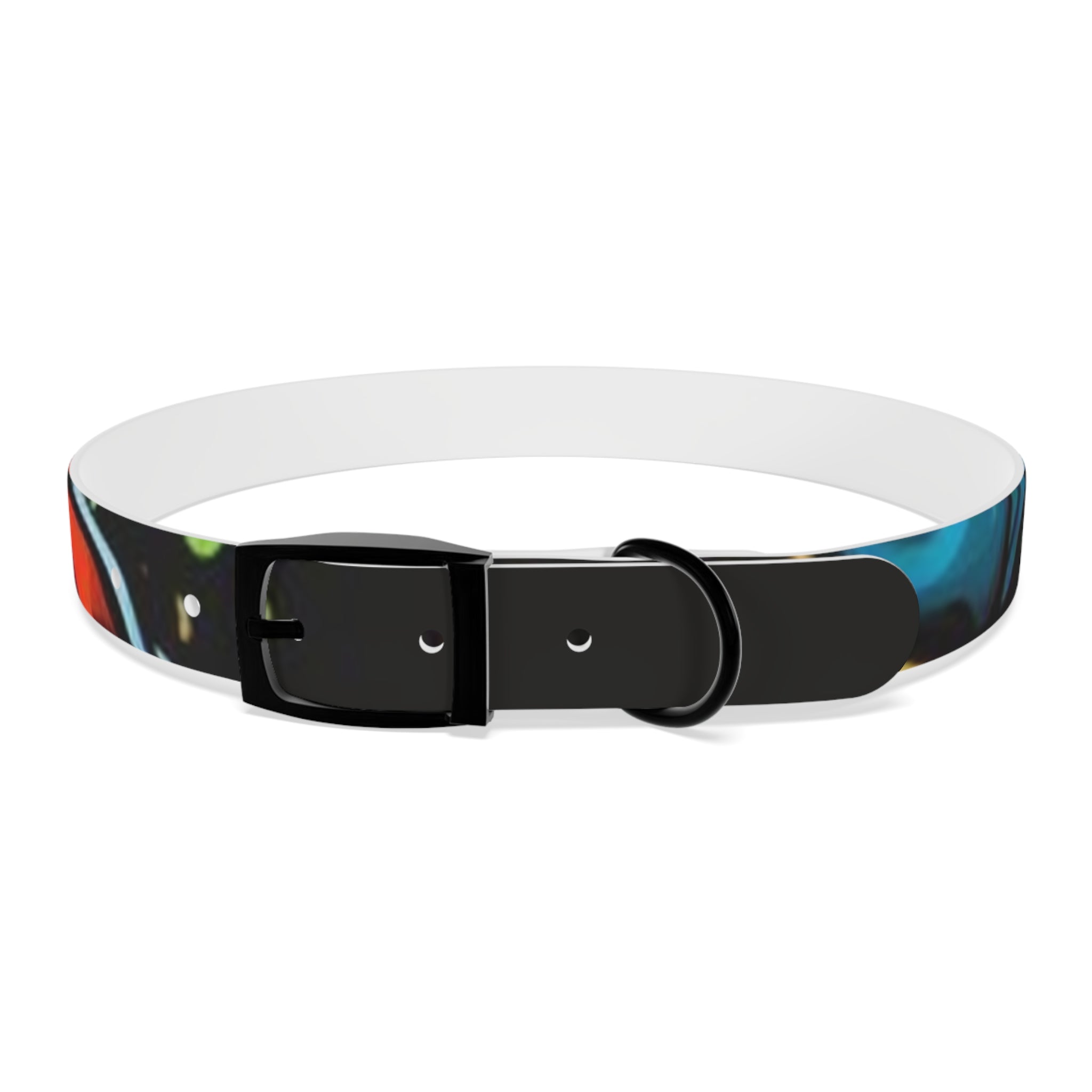 Vibrant Art Dog Collar – Adjustable & Stylish Pet Accessory
