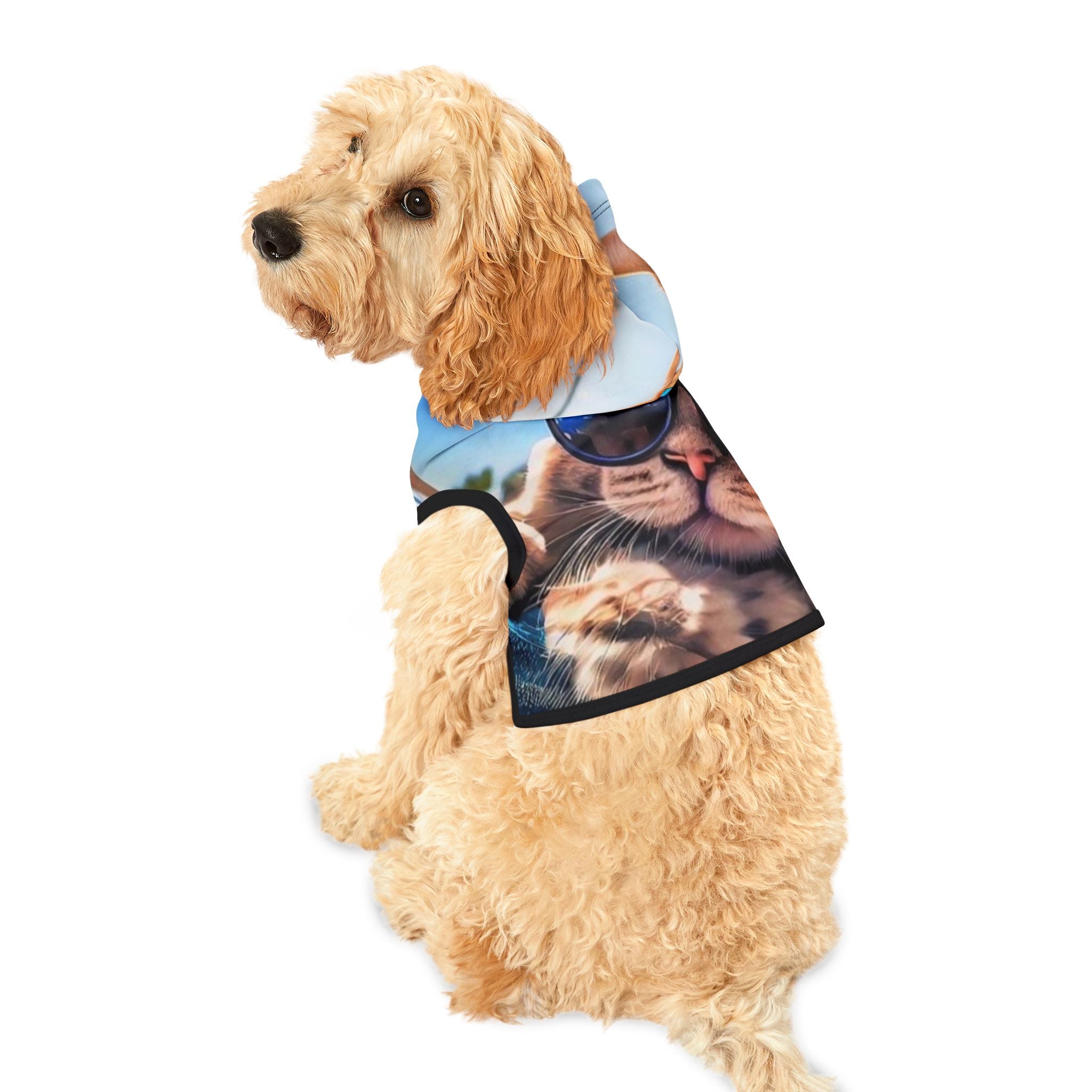 Cool Cat Pet Hoodie - Stylish Hoodie for Fashionable Feline Friends