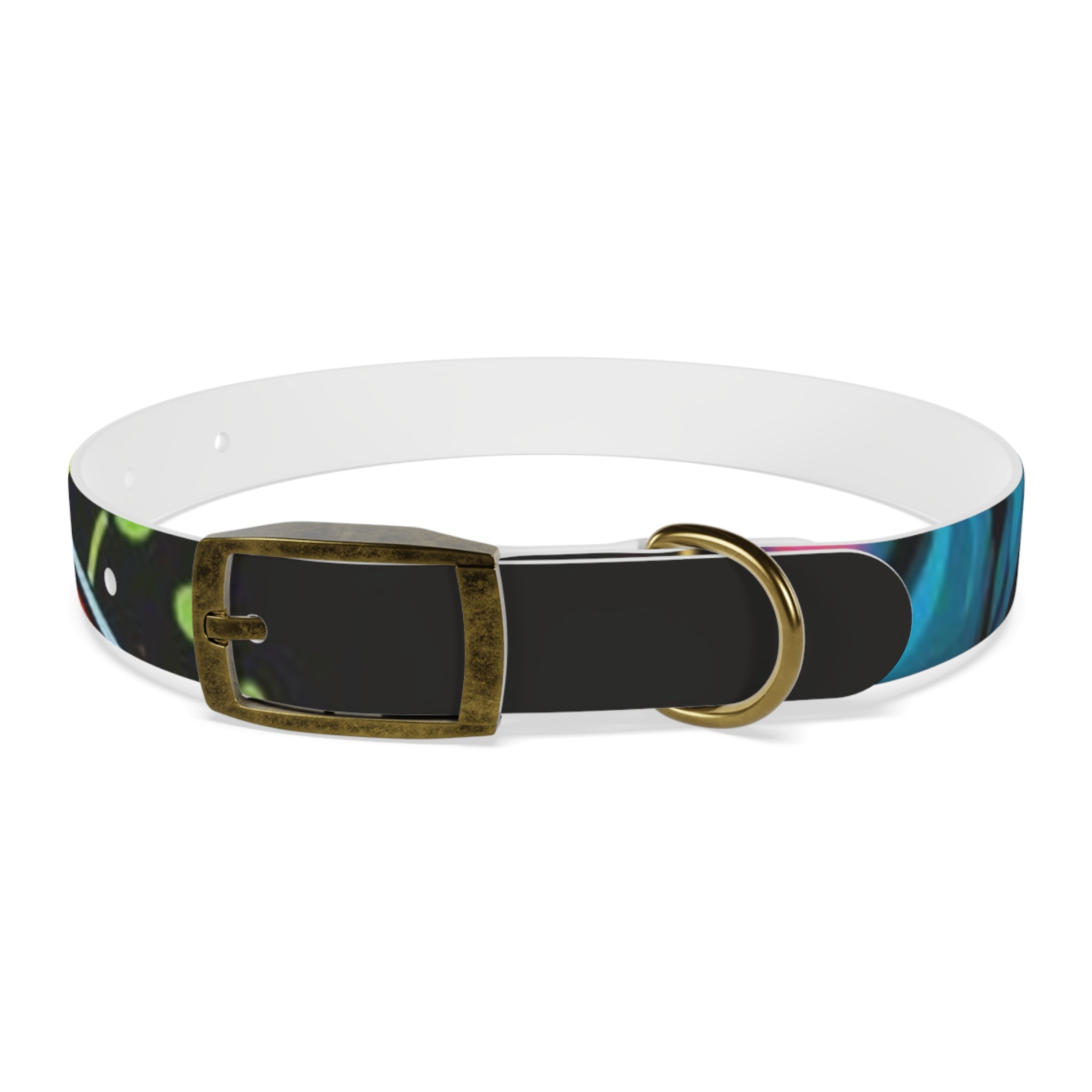 Vibrant Art Dog Collar – Adjustable & Stylish Pet Accessory