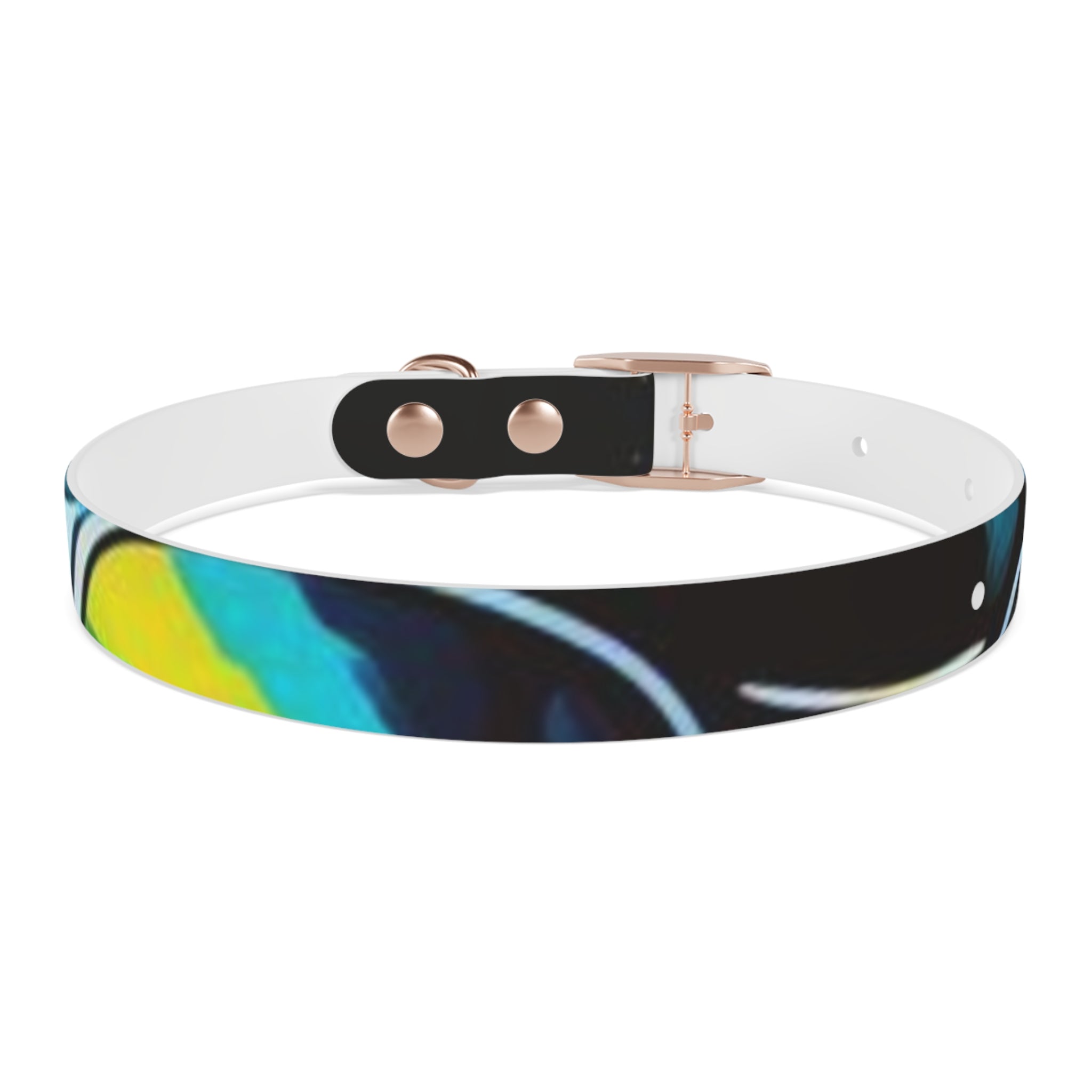 Vibrant Art Dog Collar – Adjustable & Stylish Pet Accessory